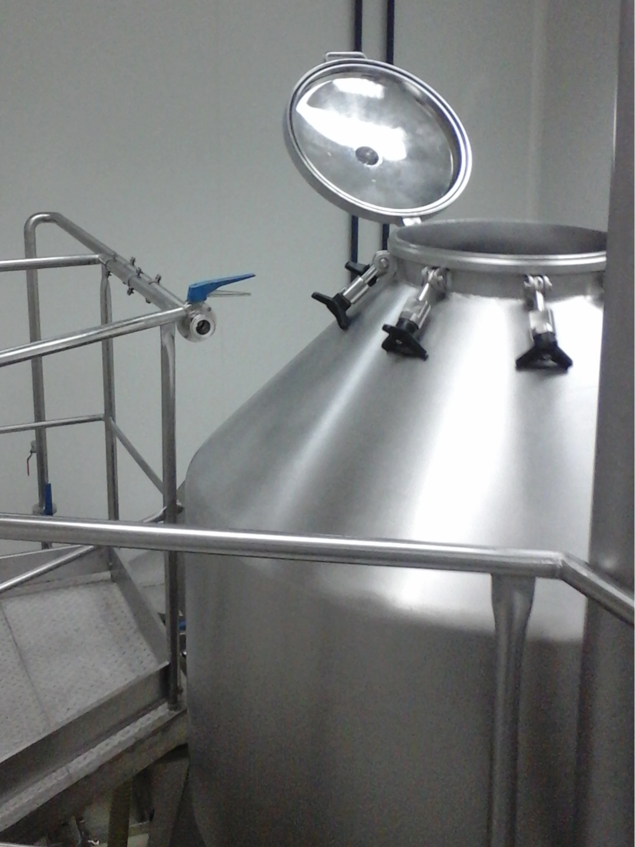 BTL Biconical Mixer in stainless stell - Pharmaceutical Industry